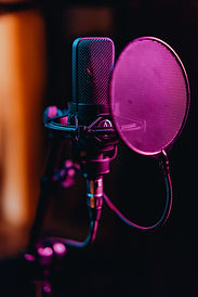MICROFONES 02.jpg