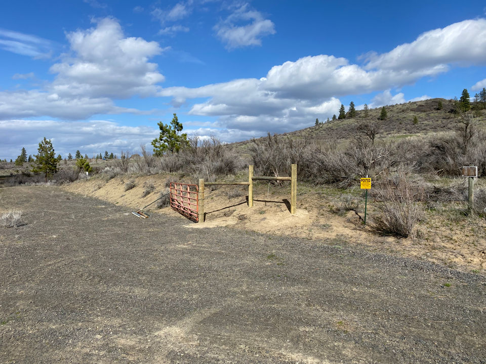 Fence Line Clearing 