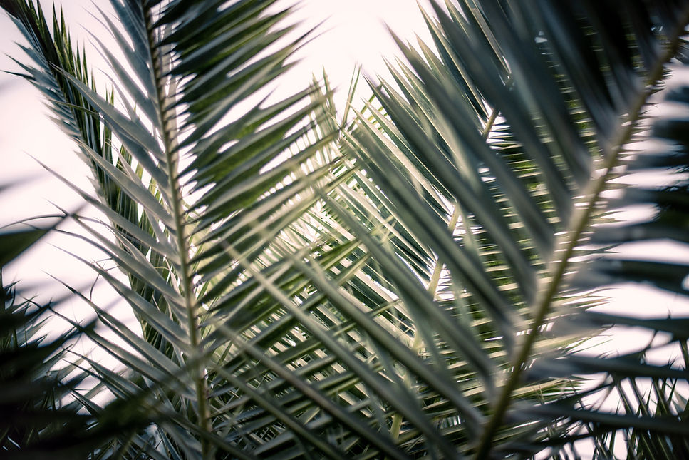 tim-mossholder-o4RvzUSmHLE-unsplash.jpg