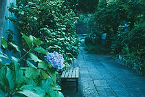 2CC95599-6F0E-422A-8D4A-C93E9CBBEB74.jpg