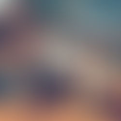 2024年9月9日(月)