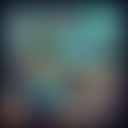 2024年11月6日(水)