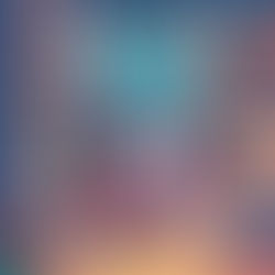 2024年11月9日(土)