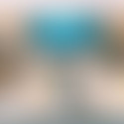 2025年3月11日(火)