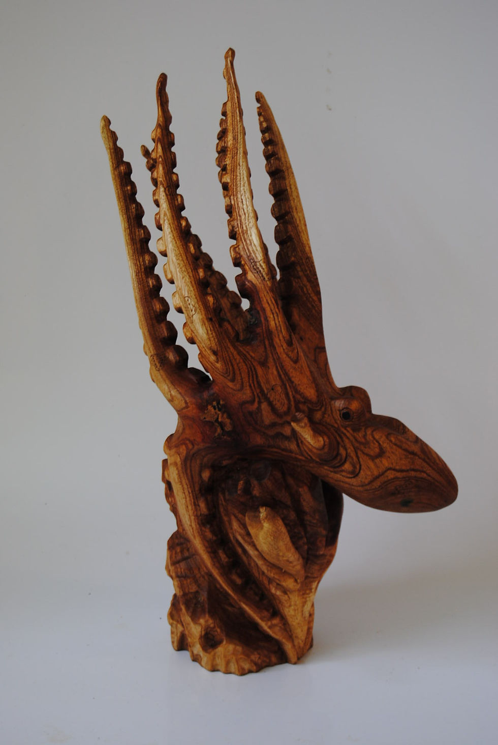 Squid on coral base