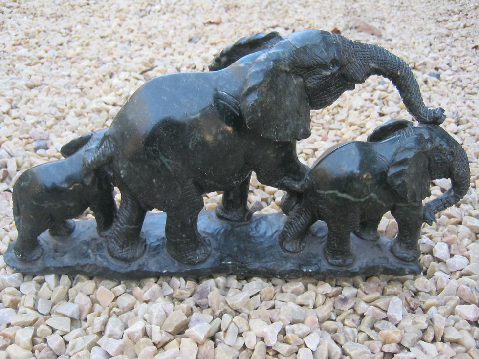 ZST-564 $ 395