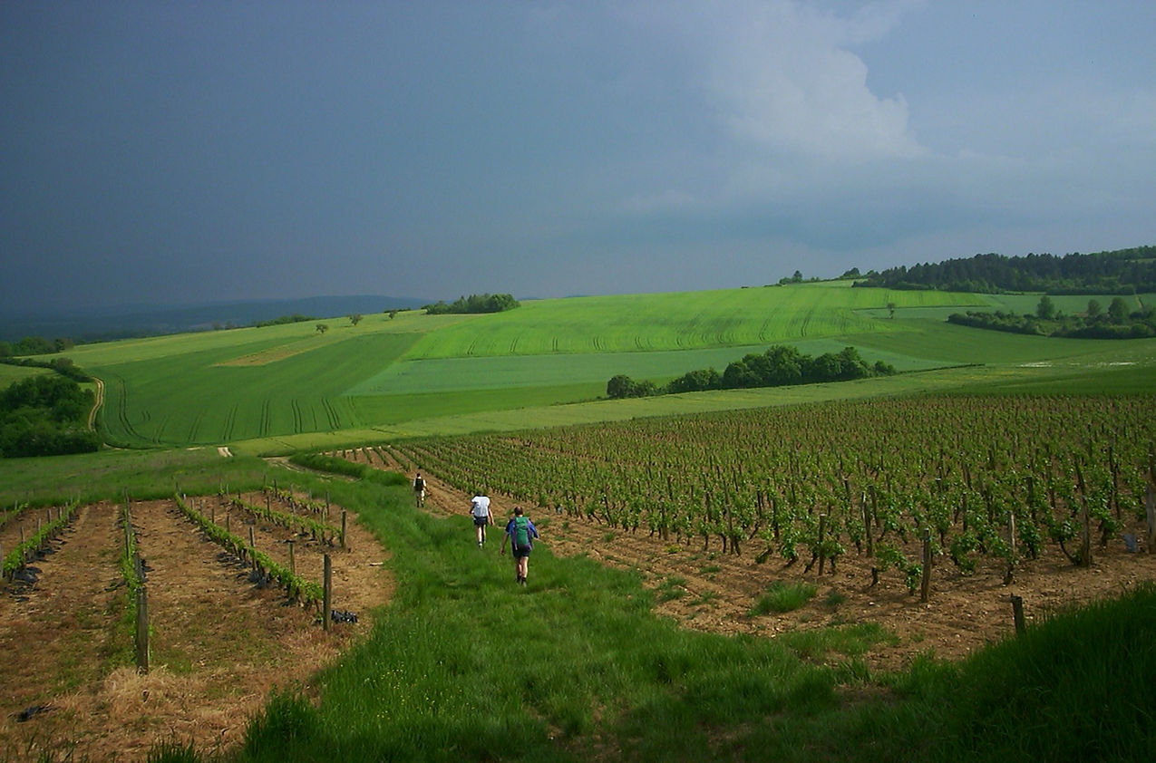 Landscape,_Morvan,_France_edited.jpg