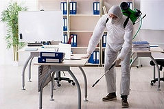 Dragon Stop Pest Control Treatment