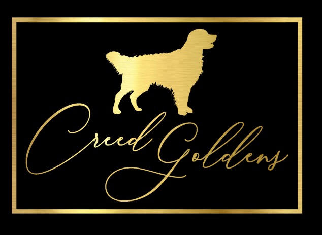 Creed Goldens logo