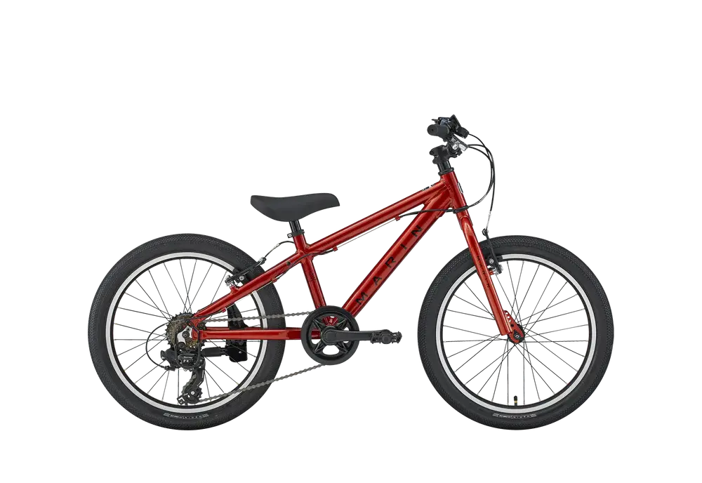 Marin Donky Jr 20" 6