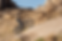 Screenshot-2025-07-11-at-3.37.36-PM-scaled.png