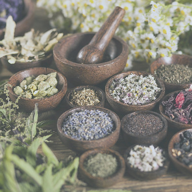 Magik Roots Magik Roots | herb medicine