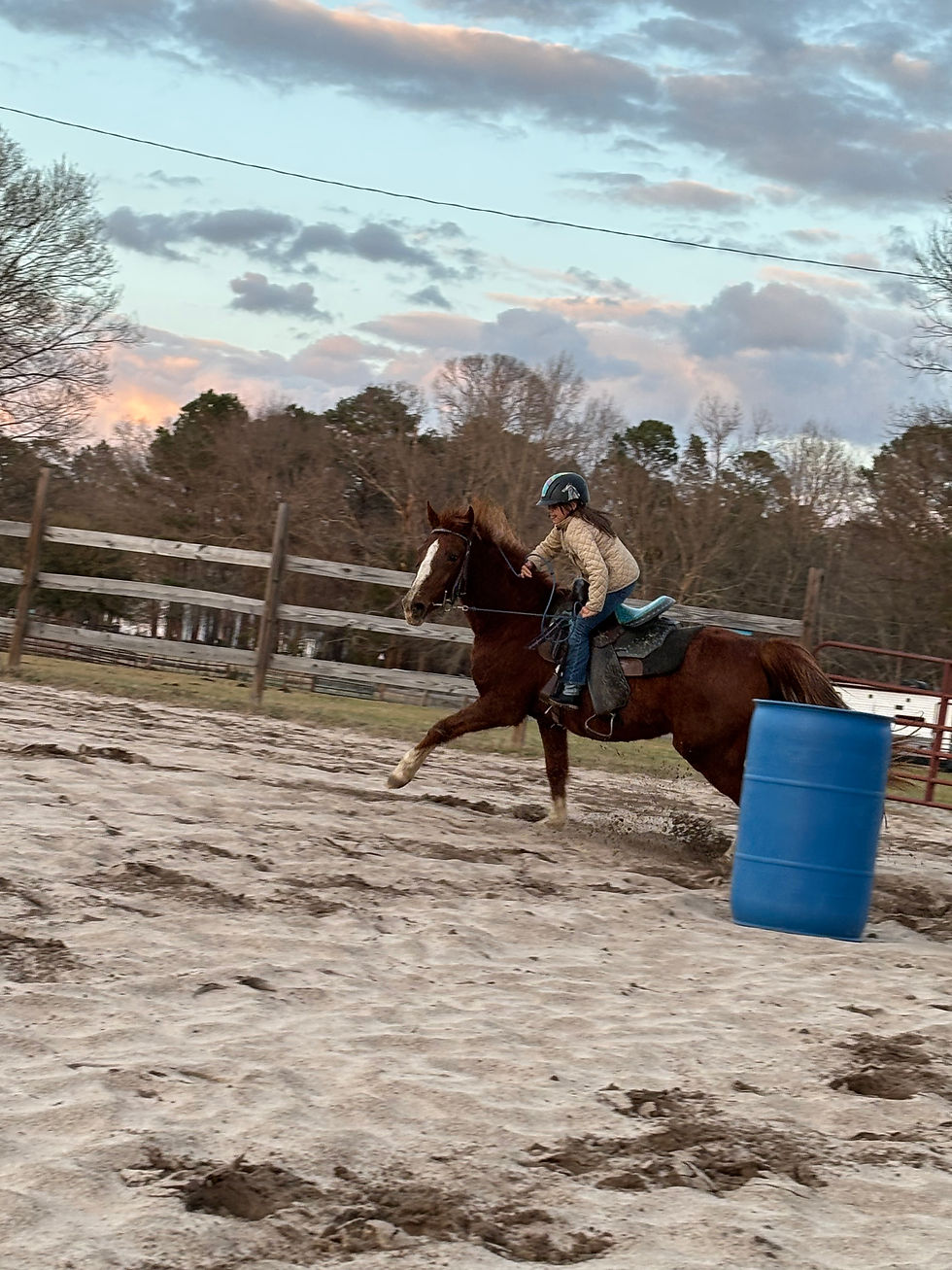 Master Barrel Racing Techniques at Our Ranch