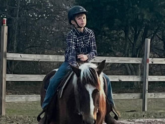 Explore Western Horseback Riding Lessons in Camden