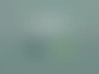Schrift auf grünem Hintergrund und den Logos von M3E und Charge und Co: "50 € Wertgutschein für Sie!"