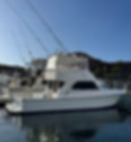 IMG_20250526_080538.jpg