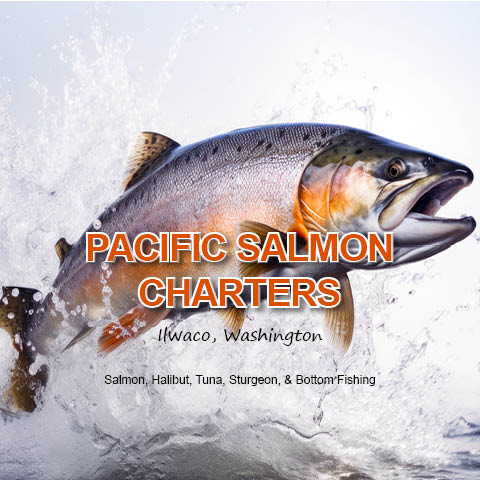 Pacific Salmon Charters logo