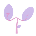 spa-plant.png