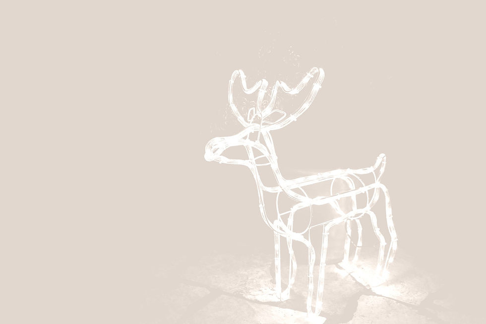 Reindeer_edited_edited.jpg