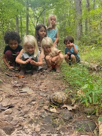 Discover Outdoor Learning: What is an 'Outdoor' School?