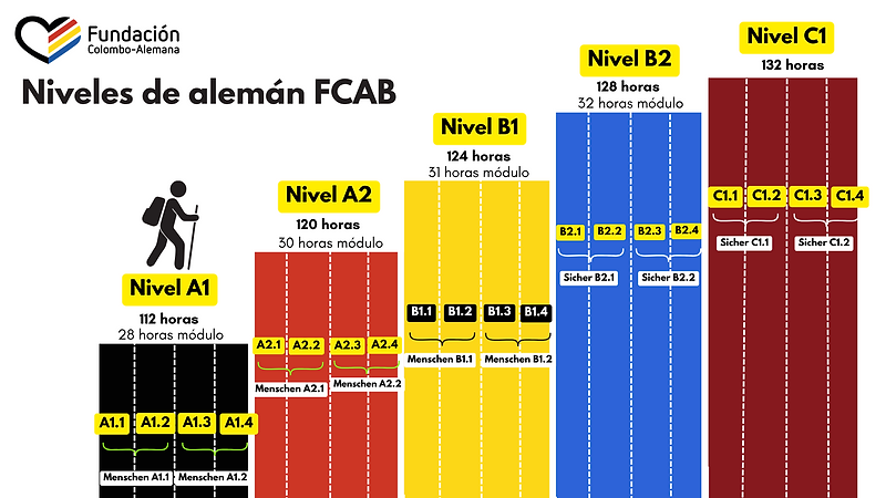 Niveles sitio web .png