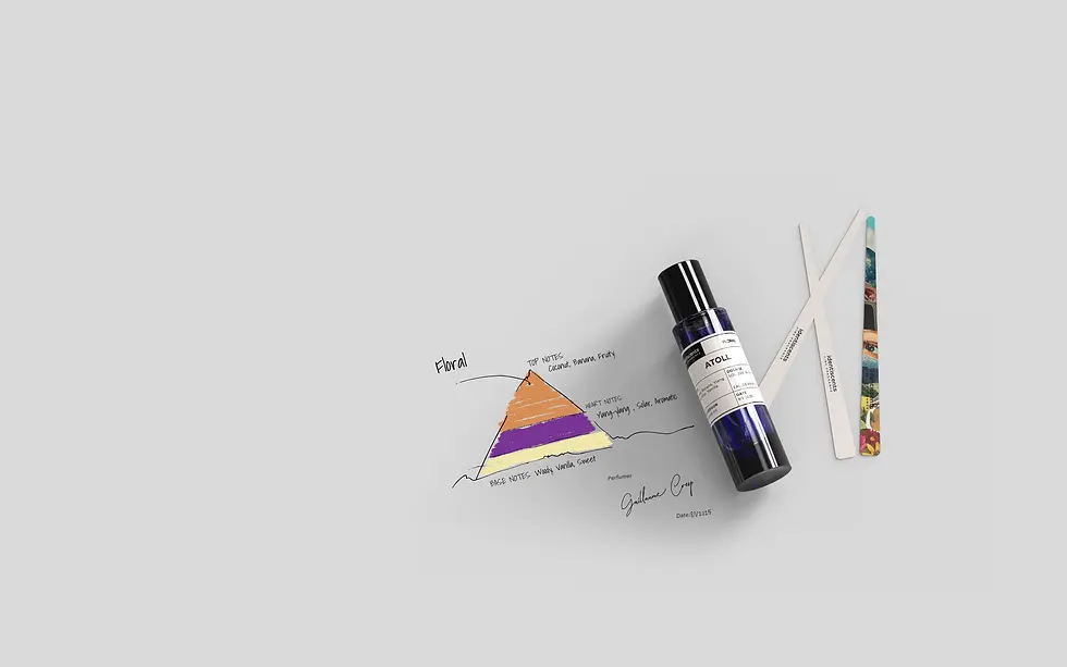 NICHE COLLECTIONS 30.webp