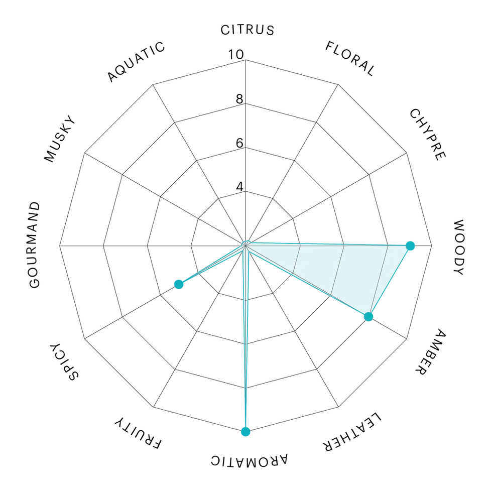 2-NATURAL_AMBER NAT 1.webp