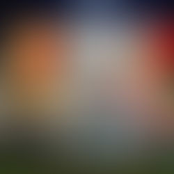 フードトラックSHINCA