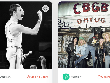 Auction by Mark Weiss to Support Jay Weiss DZF Scholarship (Closing Soon!)
