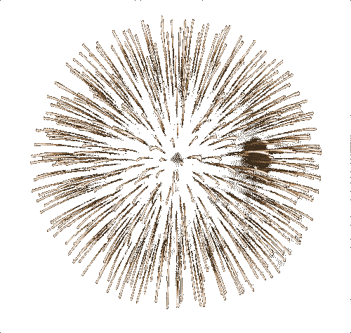 fogos5.gif