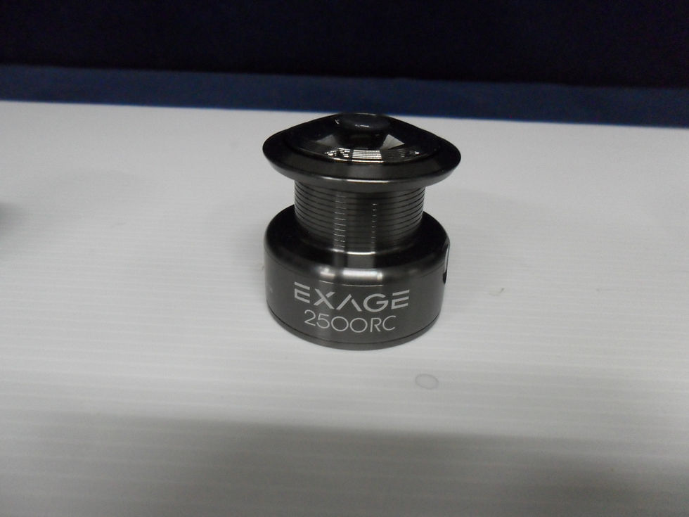 Miniatura: Shimano Exage 2500,3000 RC