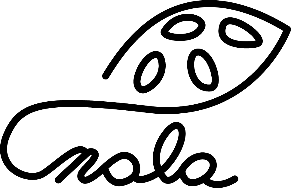 Asset 2.png