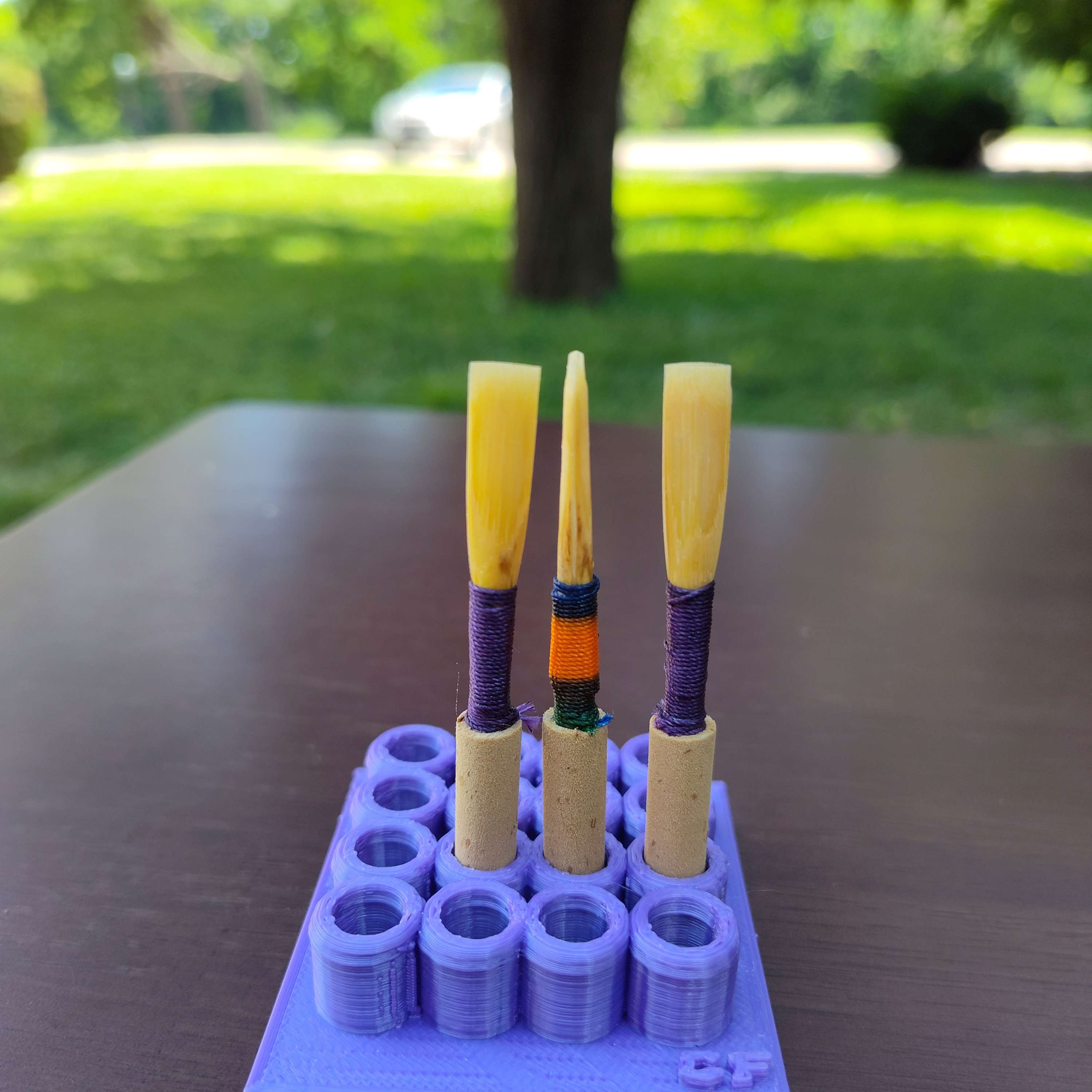 Ten Student Reeds