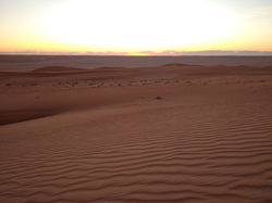 wahiba desert