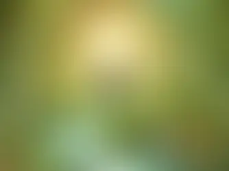 AJURVEDA: Drevna Tradicija Isceljenja za Savremeno Doba