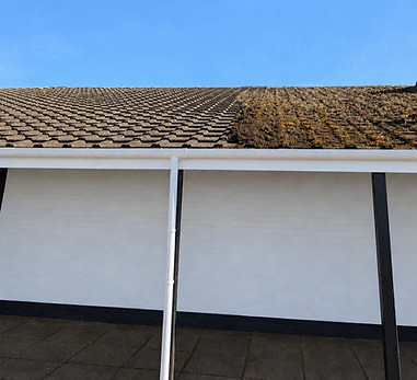 roof before and after_edited.jpg