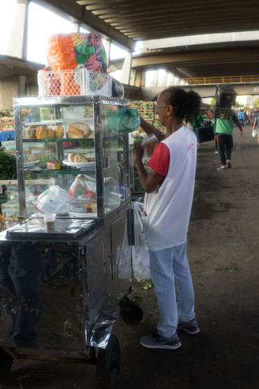 © Douglas Picelli - Todos os direitos reservados / All rights reserved.