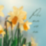 Green and Yellow Simple Welcome Spring Banner_edited.jpg