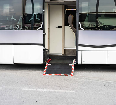 Pedana Disabili-1.jpg