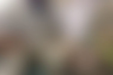 Intervista per il Giornale di Brescia!