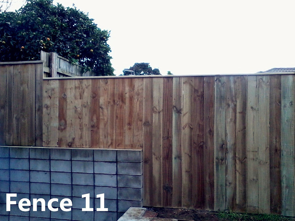 Fence 11