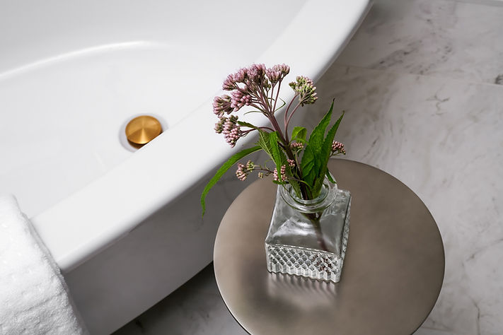 Sarah St Amand Interior Design Project Augustus-01.jpg