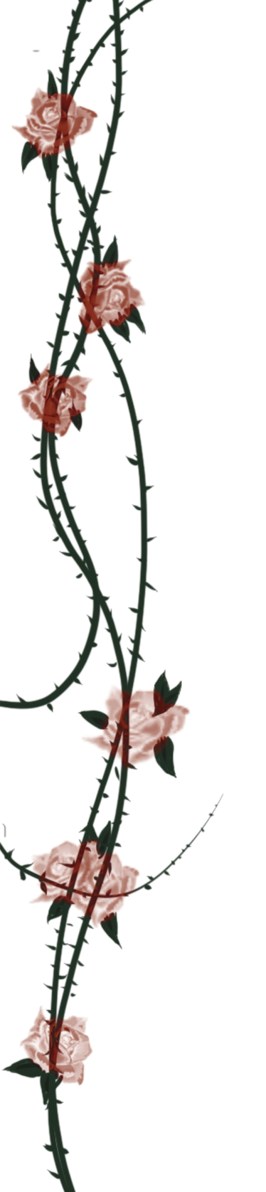 IMG_7032_edited_edited_edited_edited_edi