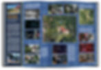 Thumbnail: DELUXE EDITION:  MAGIC - KISS KRONICLES 1973 TO 1983