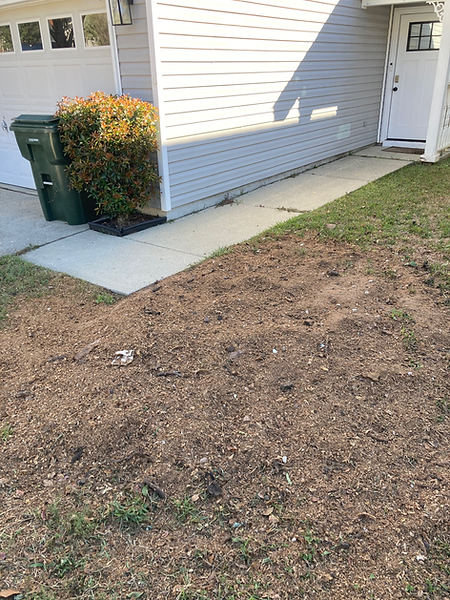 After image of stump grind in Pace, FL by Tree Huggerzzz LLC