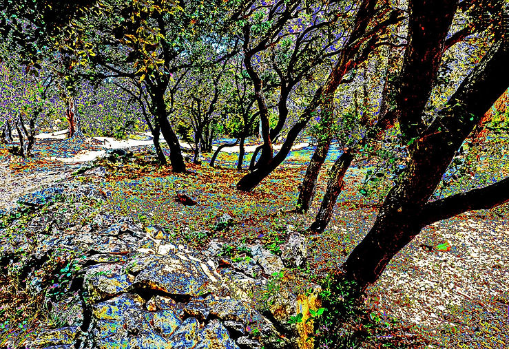 DSC05010 Provence.jpg