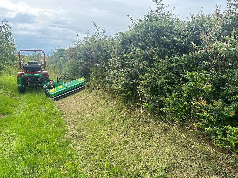 Thumbnail: Verge Mower