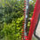 Thumbnail: Finger Bar Hedge Trimmer4.6m