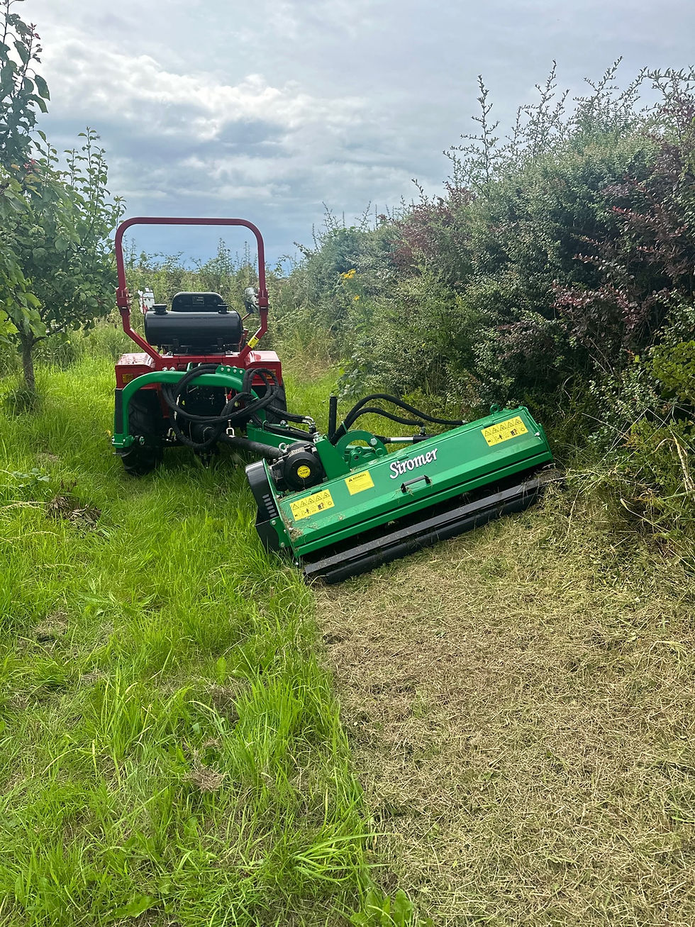 Thumbnail: Verge Mower