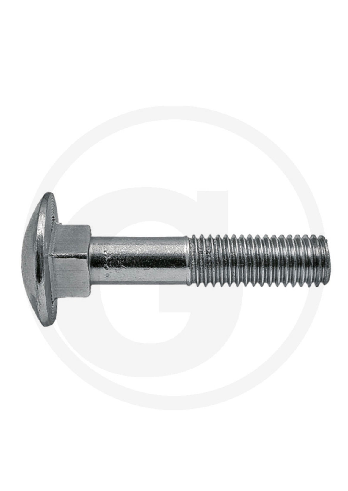Carriage bolt M6 x 25